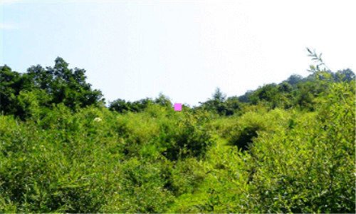 一北京蓝调庄园温泉