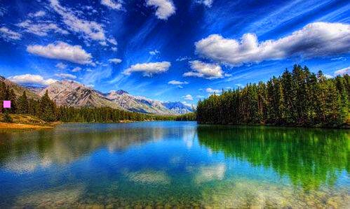 三红豆官方旗舰店是哪个