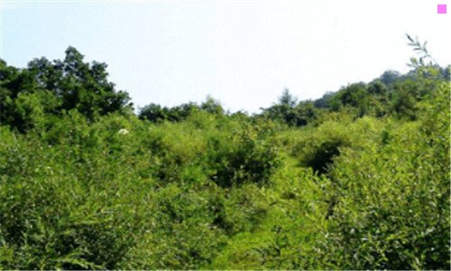 三北京万寿寺的来历