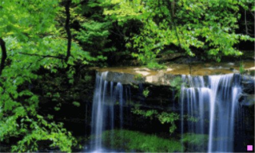 三男主是帝君女主是神女的小说