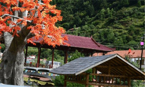 二京子和伊藤在一起了么