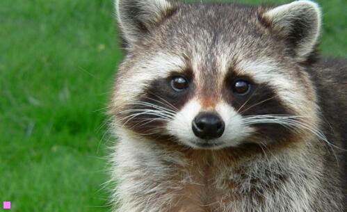 二烟台机场大巴2020时刻表