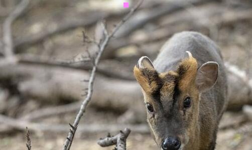 一泰国地图高清中文版