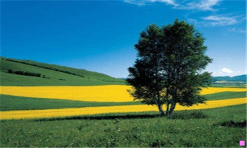 三绵阳方特一日游攻略