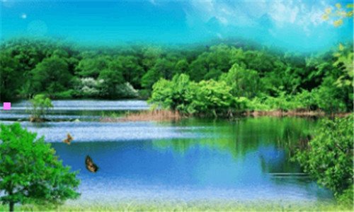 一欧莱雅染发