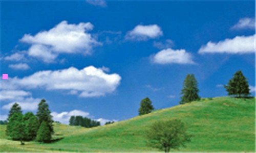 二平顶山人才信息网官网