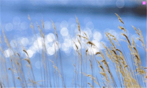 三东莞观音山三十景点导游图