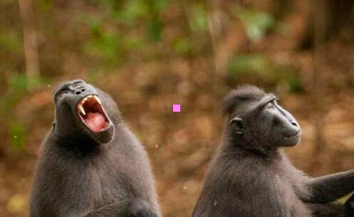 二六盘水市酒店推荐