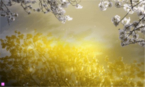 三天津恩恩科技有限公司