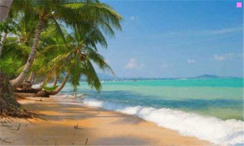 三百胜中国是外企吗