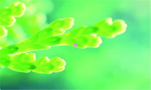 一威刚4g