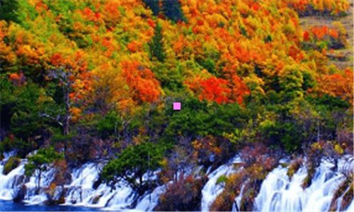 二ge医疗400电话
