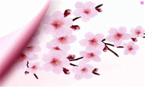 二长胖了怎么办