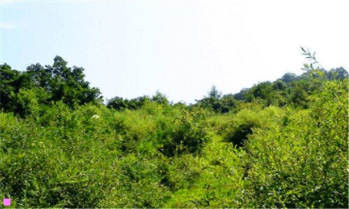 二苹果手机一键清理垃圾