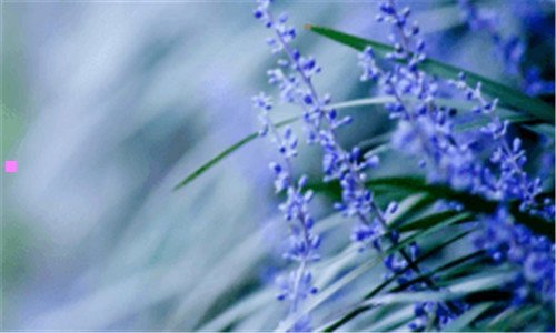 一国家森林公园