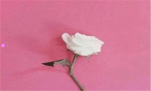 三梦幻西游三维版幽莹娃娃加点