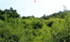 企业文体活动策划-企业文化月活动方案