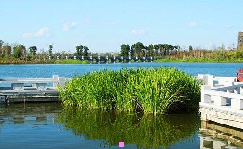一北海音乐喷泉