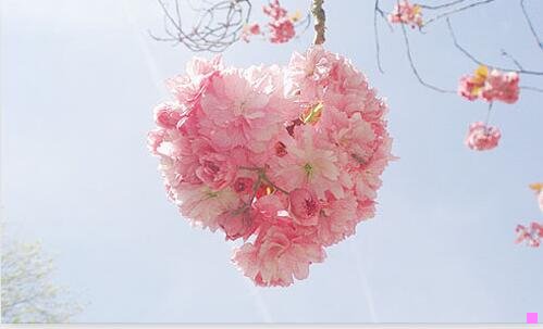 三韩城香山红叶一日游
