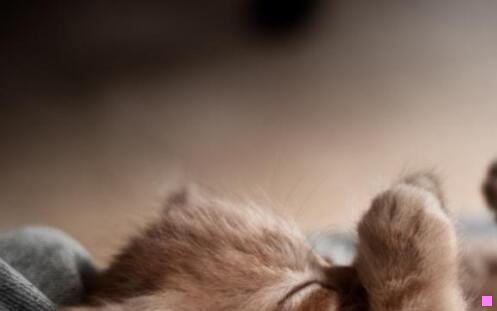 一广州批发饰品一手货源