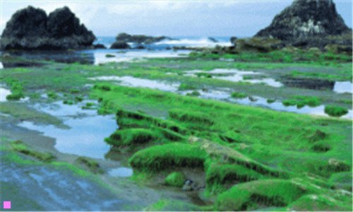 二2020年网络暴力事件