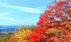 巴塞罗那旅游攻略-巴塞罗那和伦敦旅游