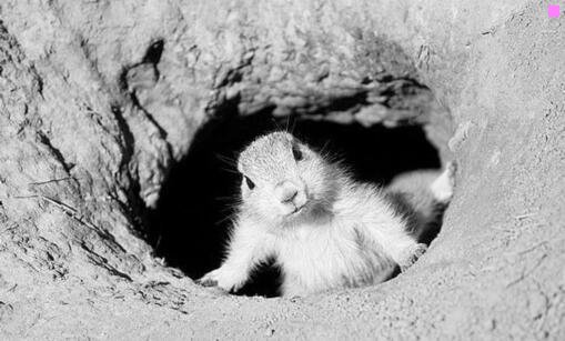 二单房差怎么解决