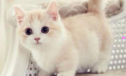 三包头东风公园