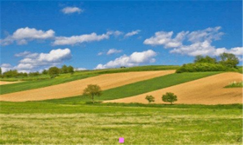 三古代宫廷熏香