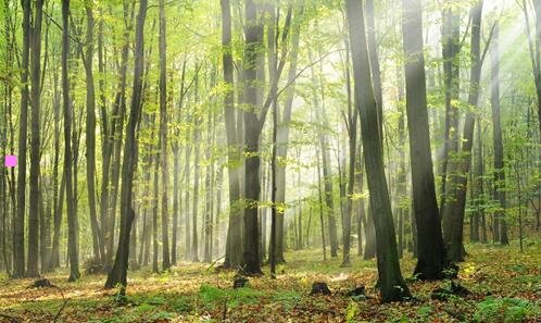 三史上最全的哲学家排行榜