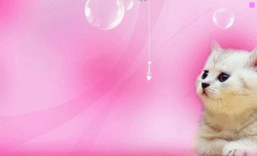 二南麂岛风景区