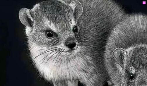 二为什么顺丰快递员都挺帅的