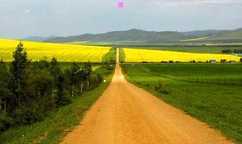 一淘粉吧为什么那么便宜