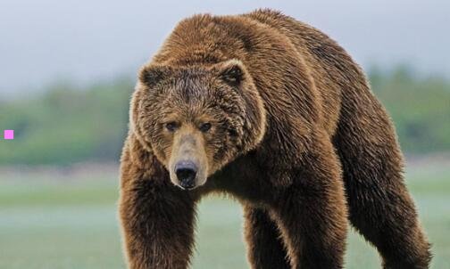 二ios最后一个完美越狱的版本