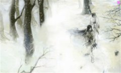 吉安人才-58同城