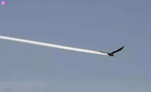 一太空是什么样子的