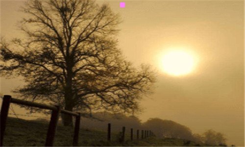 三全球各大变态节日