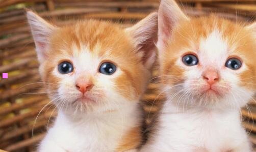 二中国多益CEO女主角