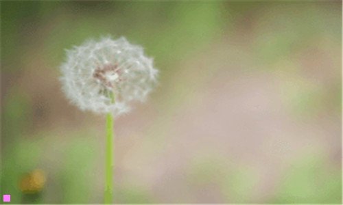 二2021全国小梅花