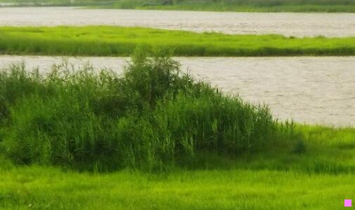 三东北大学世界排名