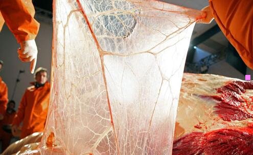 三酒泉附近旅游景点推荐