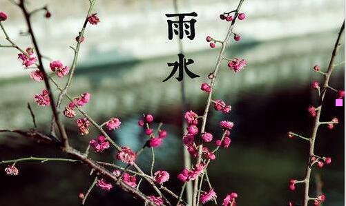 二我们仨电子书