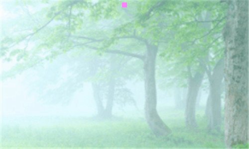 二魅族开机卡flyme转圈圈