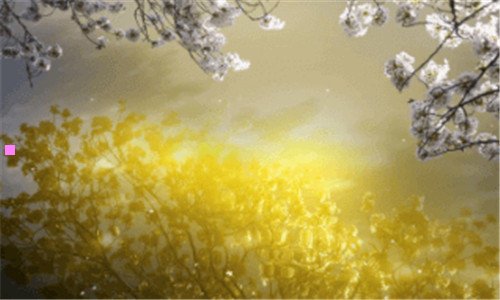 一星巴克咖啡菜单