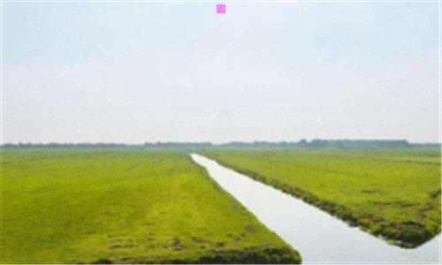 三多伦多大学mba