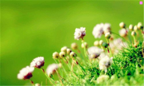 一四川路桥招聘