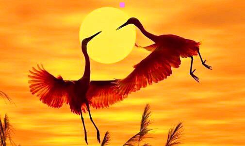 一常州酒店预订