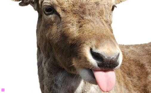 三一座世界名城花都巴黎介绍