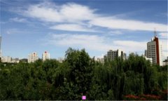 华兹卜-华兹卜集团