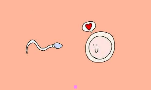 二侏罗纪时期有人类吗